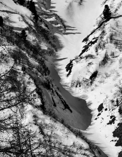 Ombre velue, neige animal