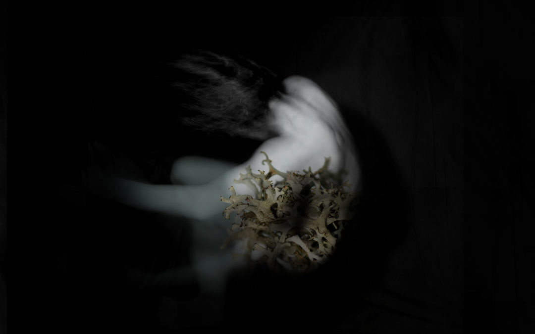 An immersive, forensic take on nature photography