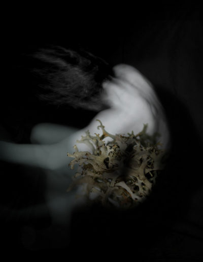 Creux du corps-plante