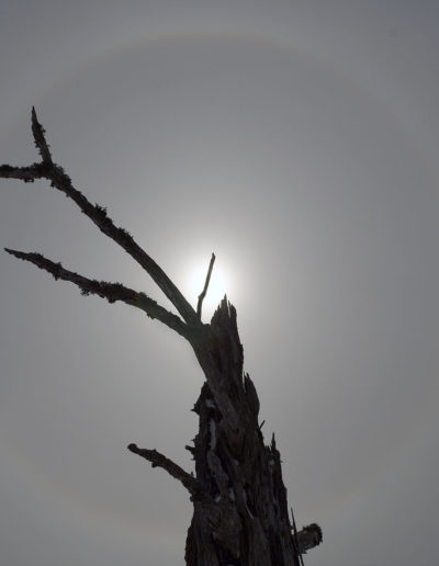 Halo solaire