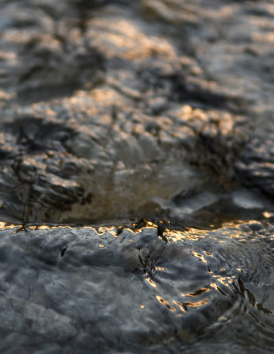 Eau d'or
