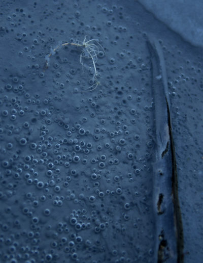 Bulles eau